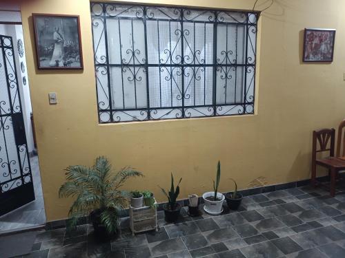 Departamento Casa Gastón (Departamento Casa Gaston) in Rupa-Rupa