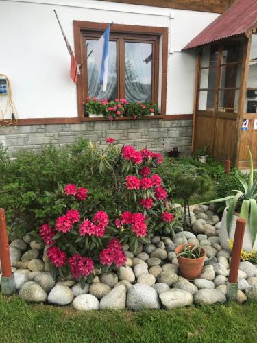 Villa jumper domek, Zakopane (photo 10)