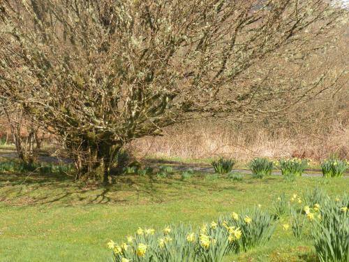 Halftown Cottages - image 13