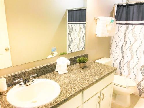 Apartment image 10