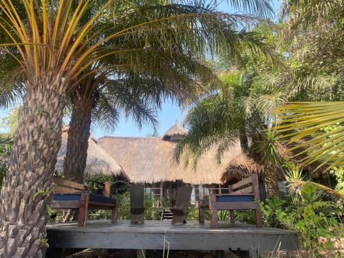 Instalaciones, Villa AVI Plage paradisiaque à 10m, île de Rubane (Villa AVI Plage paradisiaque a 10m, ile de Rubane) in Bolama
