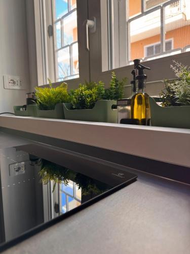 로마 LRV Apartment Roma Metro B Conca d'Oro 3성급 싱글룸 객실