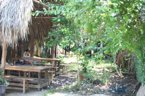 Facilities, Hostel Nugeku in Rincón
