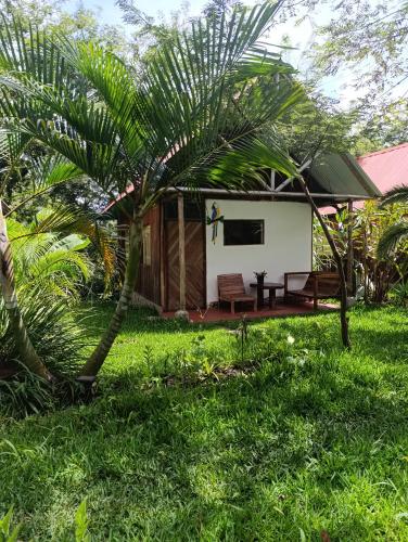Bella Victoria Ecolodge Coffee and Chocolate Experience in 拉康本西翁