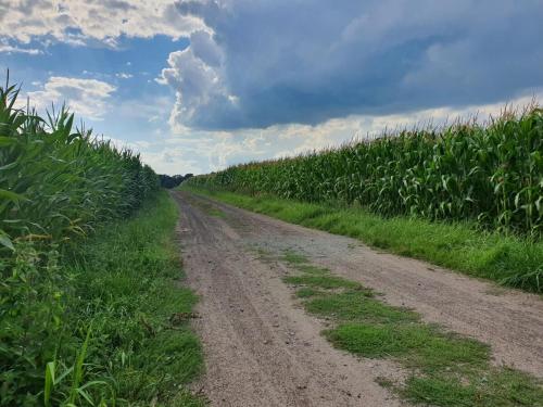 Ferienwohnung Zwischen den Feldern in 阿彭