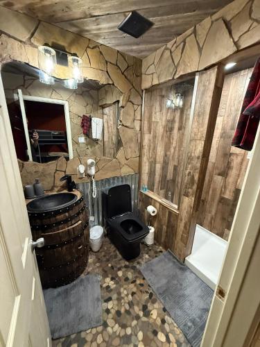 Bunk House The Roost Cabins in Lakehills (TX)