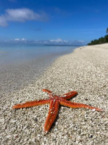สภาพแวดล้อมโดยรอบ, Kitesurf Tonga near สนามบินลิฟูกาไอส์แลนด์
