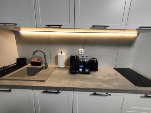 721 Slate Apartament Jedlina-Zdrój