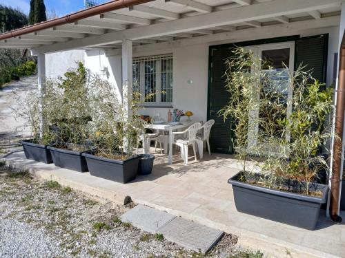 Iekārtas, Il Cedro in Massa E Cozzile