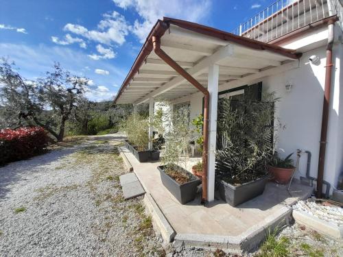 Il Cedro in Massa E Cozzile