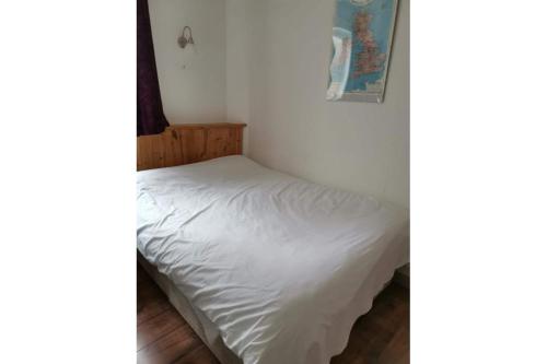 OYO Swan Inn - main image