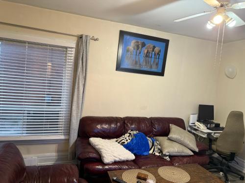 Oshawa Duplex in 中奧沙瓦