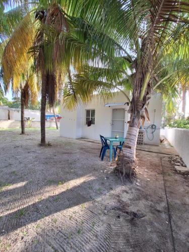 Arca Del Abuelo in Sisal