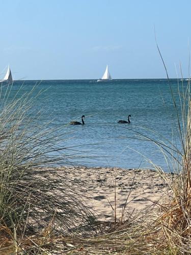 Rye - Tallringa - A Beachside Family Haven 20m to Tyrone Beach, Рай (фото 3)