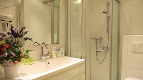 Shower, Apartement Maria Trost in Mariatrost