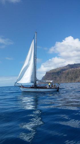  Ocean View Madeira in Madalena do Mar