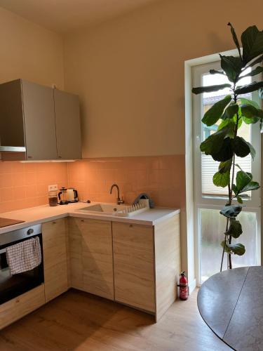 Guesthouse with 3 apartments, just outside Berlin, near to Tesla in Gosen-Neu Zittau