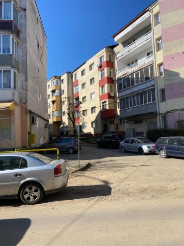 Studio Lotus Zalău Studio Lotus Zalău