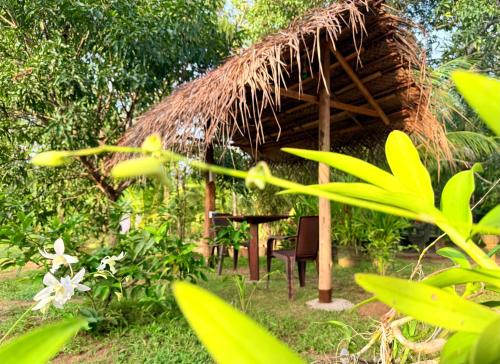 Lingkungan sekitar, Village Life Mihinthale in Mihintale