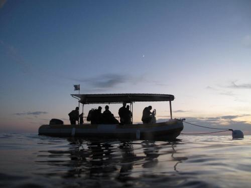 Sport és szabadidő, Le Refuge du Plongeur - Appartement in Saint Mandrier Sur Mer