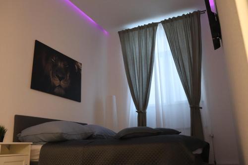 MaRuLiving B139, Cologne