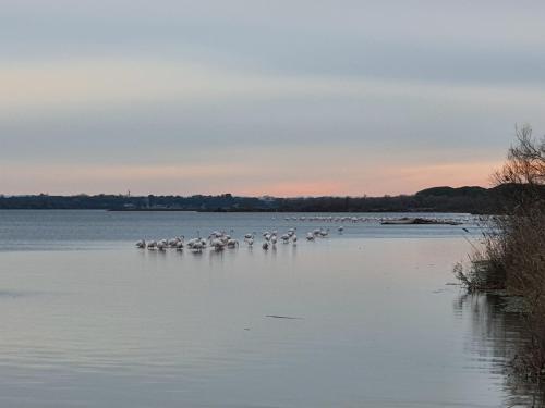 Studio 54233, Port Camargue, Piscine, WiFi, Parking, 2 personnes in Le Grau-du-Roi