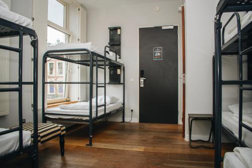 King Kong Hostel - image 2