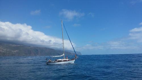  Ocean View Madeira in Madalena do Mar