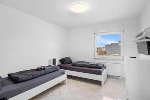 BA01 Moderne Wohnung in Flörsheim (BA01 Moderne Wohnung in Florsheim) in 美茵河畔富樂紳