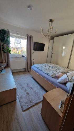 Haus mit Garten, 20 min. zum Dom&Messe (Bus/Bahn), Köln (Foto 8)