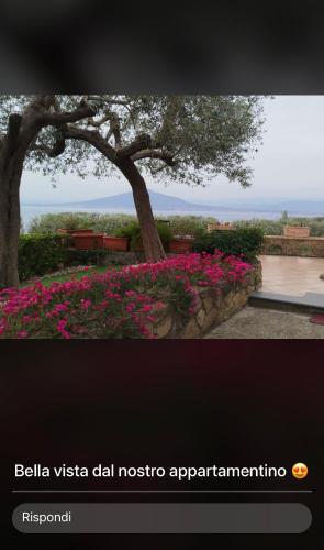 A Sorrento – Sorrento, CO