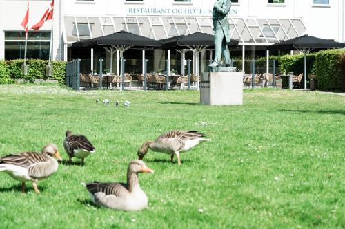 Hotel Norden - image 12