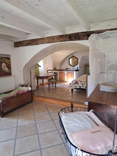 Grande maison familiale, source piscine et rivière ! (Grande maison familiale, source piscine et riviere !) in Plan-de-Baix