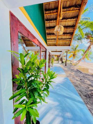 Bush Beach Hostel in Vilanculos