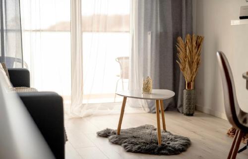 APARTAMENT PRZY WYDMIE