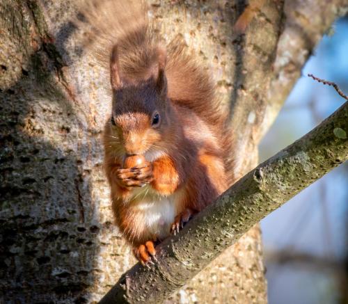 Kert, Lowthwaite B&B in Dockray