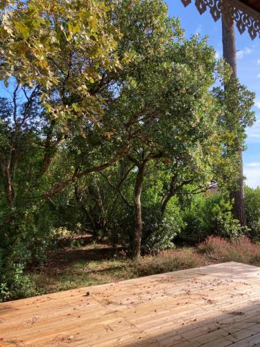 zahrada, Villa Fourtonballion between Sea and Forest in Lanton