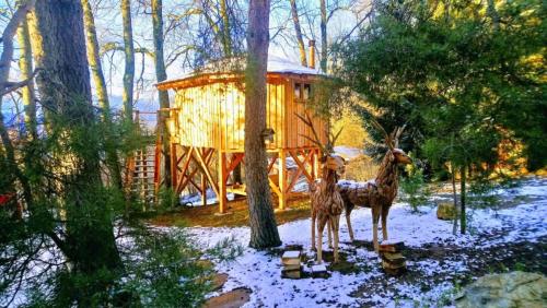 Cabane Perchée - Les Pitons gîte à louer Collonges-sous-Salève