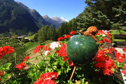 Villa Grossglockner Heiligenblut - image 4