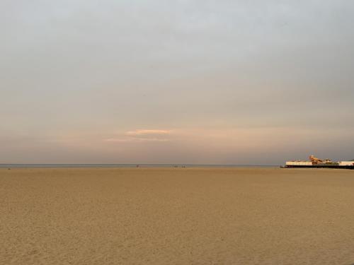 Arona Guest Hotel - image 4