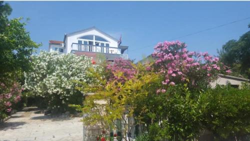 Oleander Apartment 2 in Pakoštane (Oleander Apartment 2 in Pakostane) in Draga