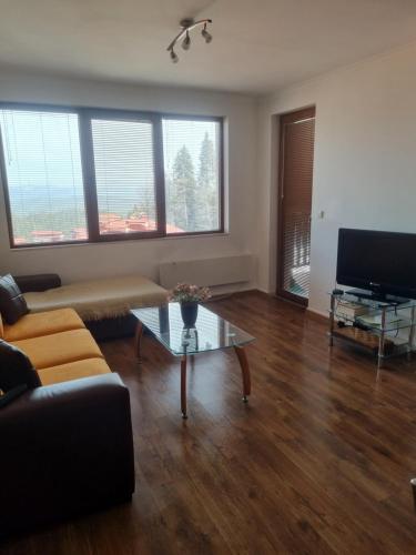 Ski & View Pamporovo Apartment, Smolyan (foto 6)