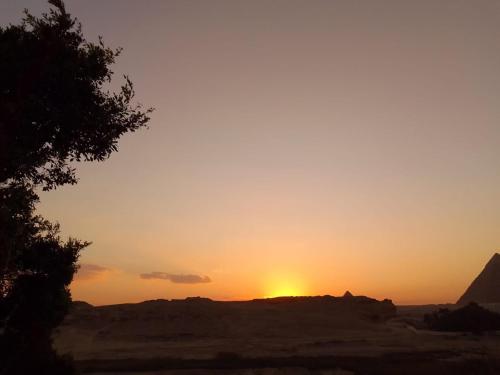 Sunset Oasis - image 4