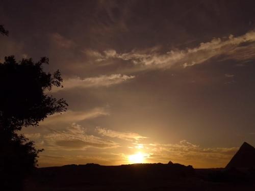 Sunset Oasis - image 5