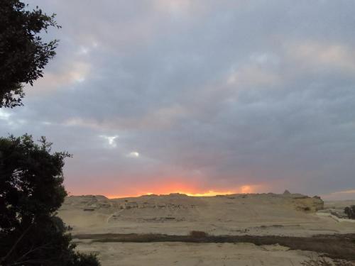 Sunset Oasis - image 7