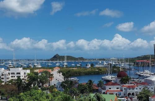 Simpson Bay Hill eco friendly caribbean cottage in ケイ ベイ