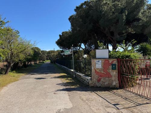 Hotel Paradiso - image 3