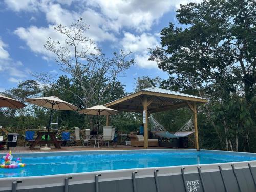 . The Howler Jungle House and Cabanas
