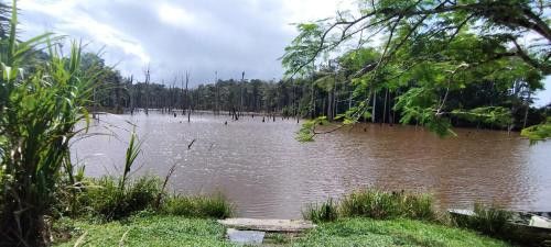 Maison en bord de rivière (Maison en bord de riviere) in แซ็ง-โลร็อง-ดู-มาโรนี