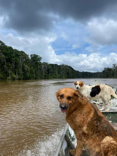 Maison en bord de rivière (Maison en bord de riviere) in แซ็ง-โลร็อง-ดู-มาโรนี